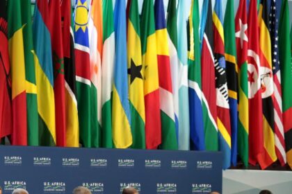 How African Governments Are Responding to Global Issues stipples.com.ng
